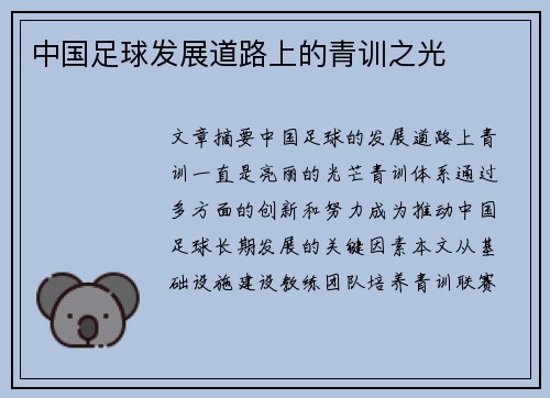 中国足球发展道路上的青训之光
