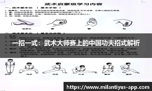 一招一式：武术大师赛上的中国功夫招式解析